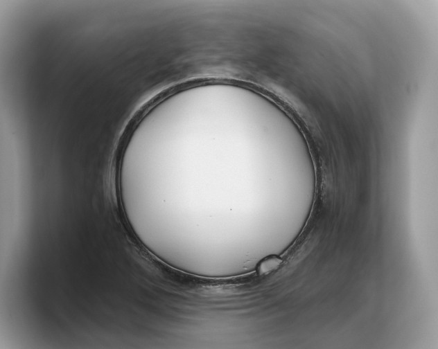 X0000103221272200809181456