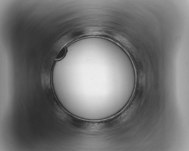 X0000103221273200809181456