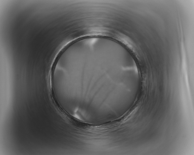 X0000103221275200809181456