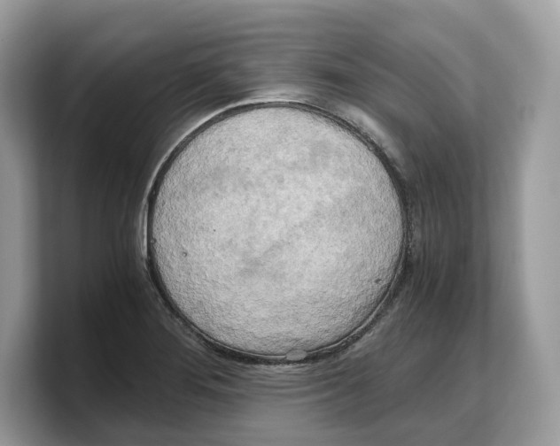 X0000103221276200809181456