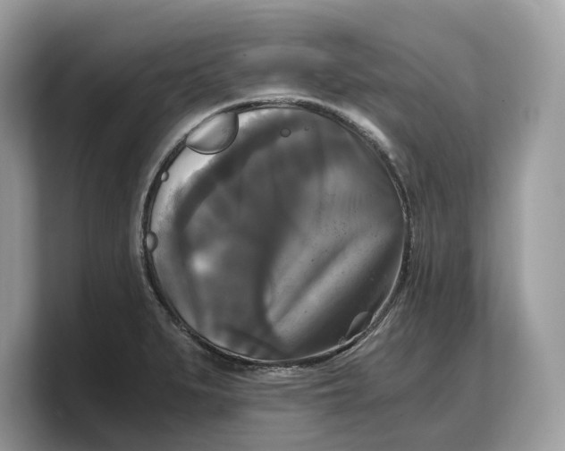 X0000103221279200809181456