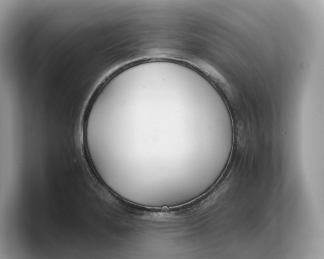 X0000103221280200809181456