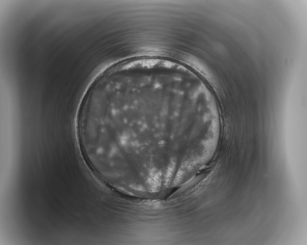 X0000103221283200809181456