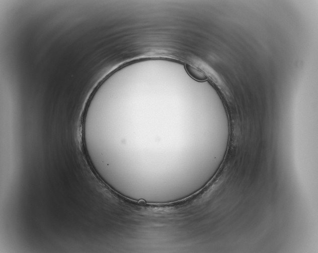 X0000103221284200809181456