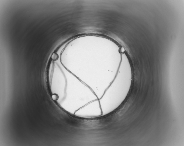 X0000103221285200809181456