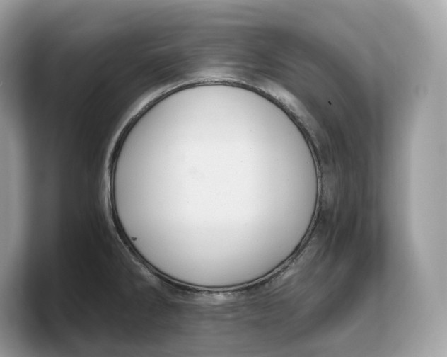 X0000103221286200809181456