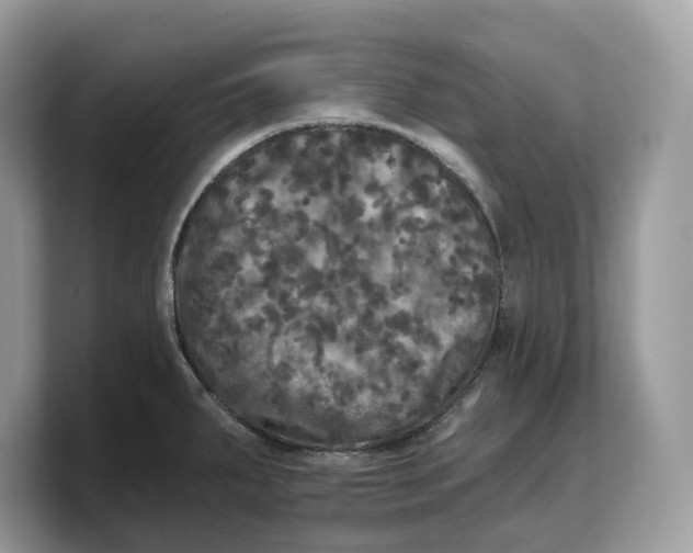 X0000103221287200809181456