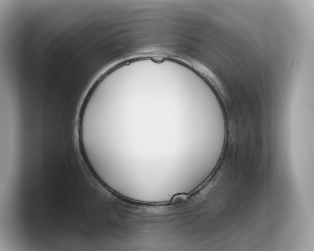 X0000103221288200809181456