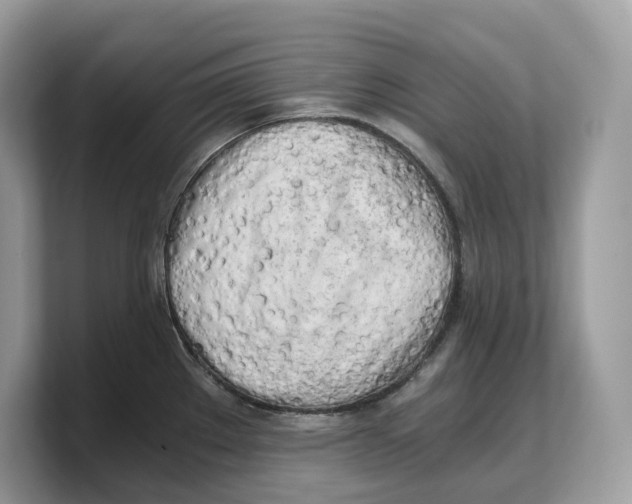 X0000103221289200809181456