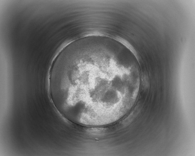 X0000103221290200809181456