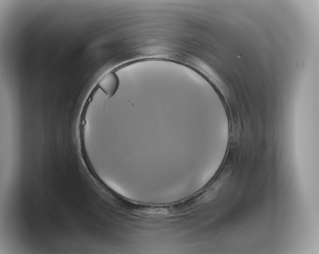 X0000103221291200809181456