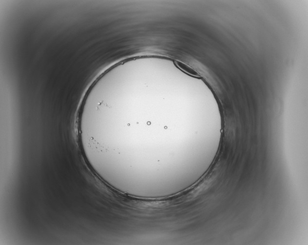 X0000103221292200809181456