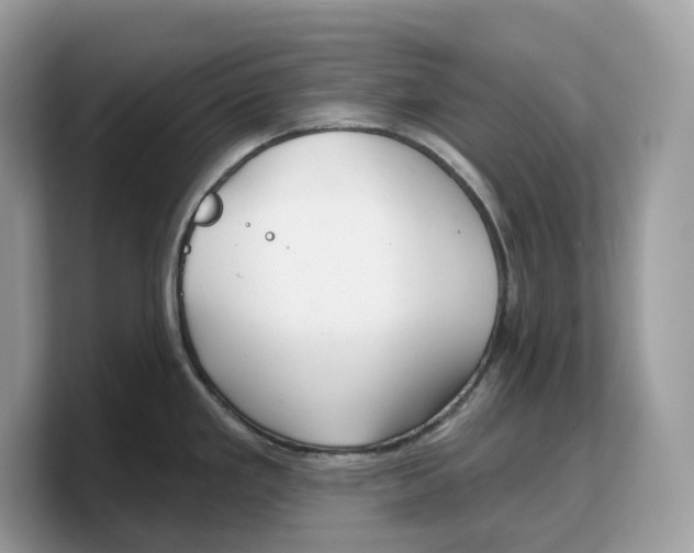 X0000103221293200809181456