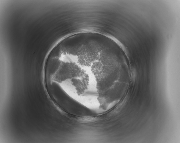 X0000103221294200809181456