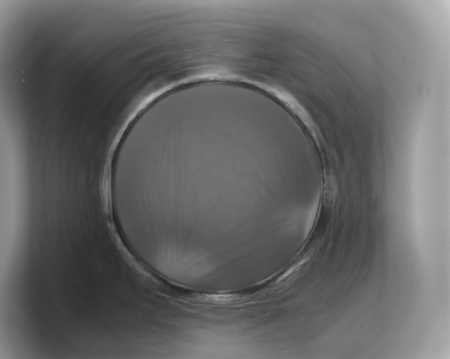 X0000103221295200809181456