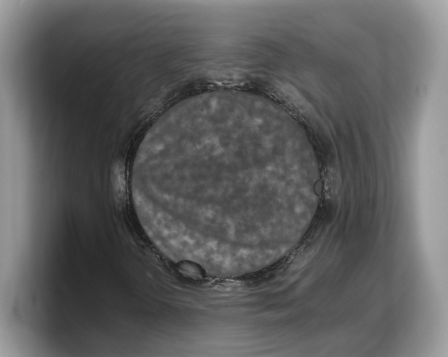 X0000103221298200809181455