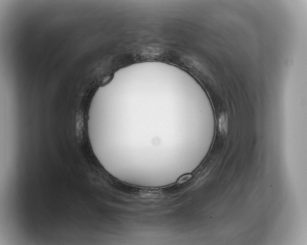 X0000103221299200809181455