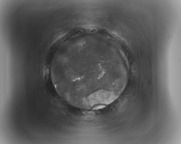 X0000103221302200809181455