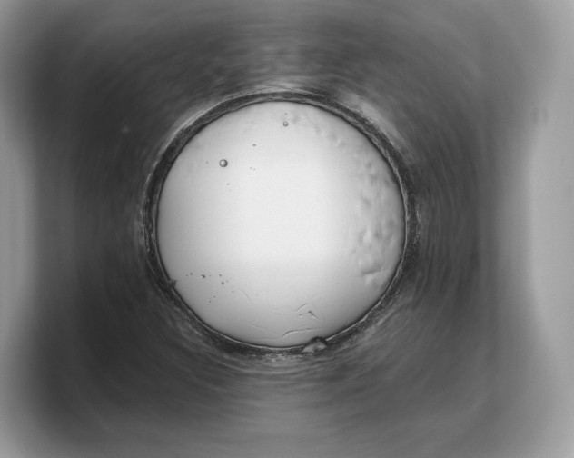 X0000103221308200809181455