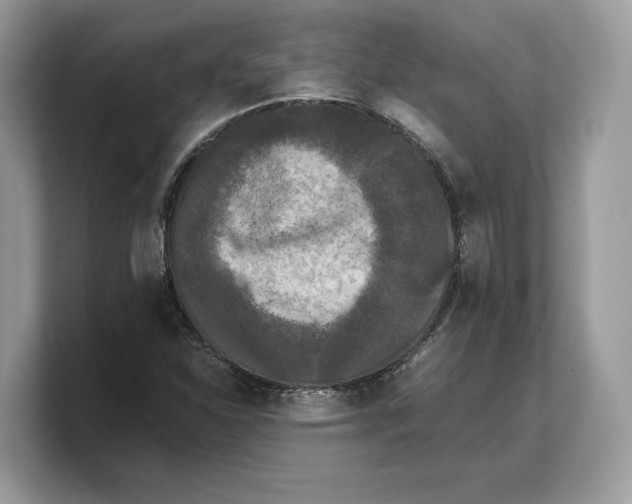 X0000103221310200809181455