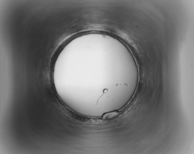 X0000103221312200809181455