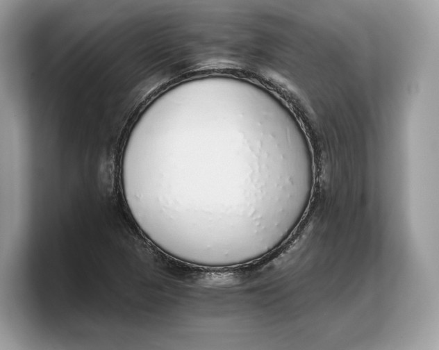 X0000103221313200809181456