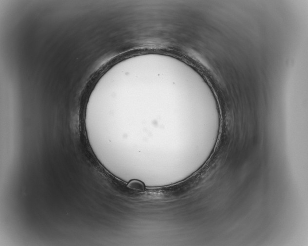 X0000103221315200809181456