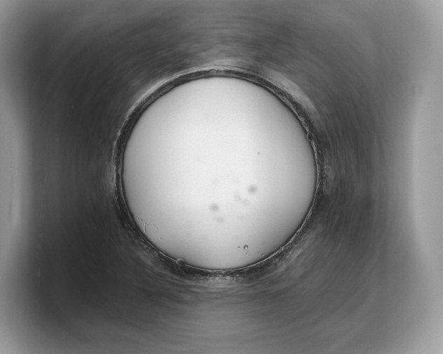 X0000103221316200809181456