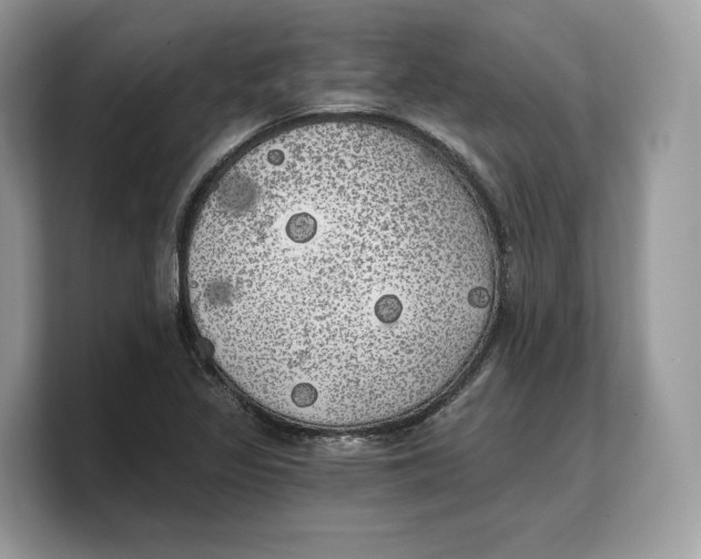 X0000103221317200809181456