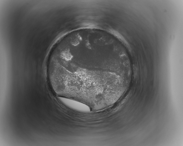 X0000103221318200809181456