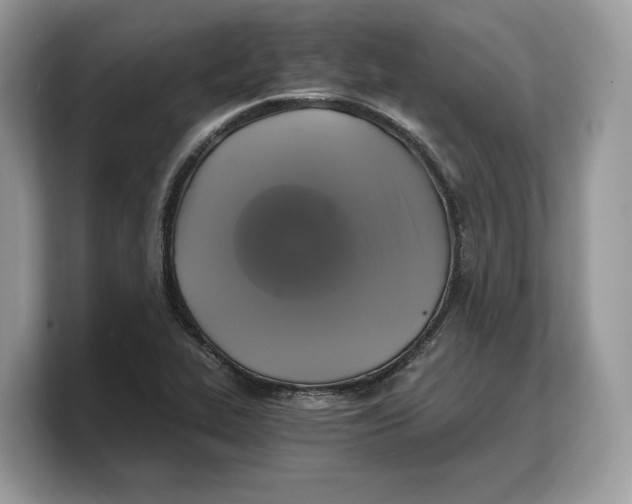 X0000103221319200809181456