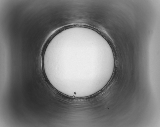 X0000103221320200809181456