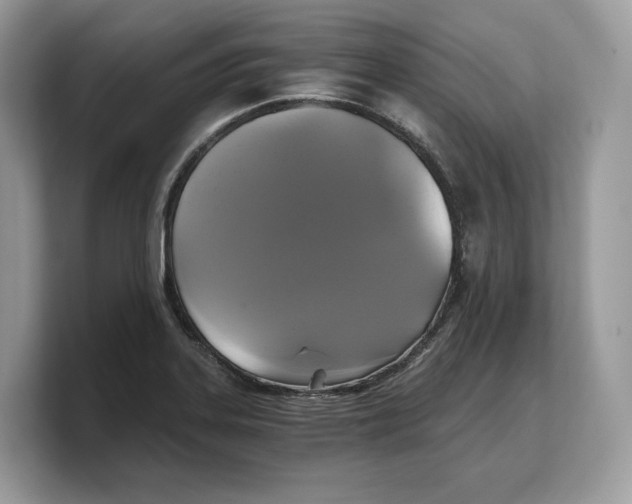 X0000103221323200809181456