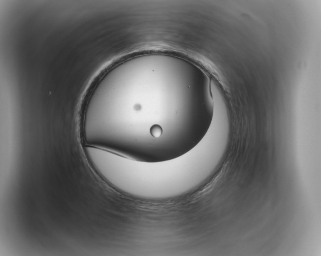 X0000103221326200809181456