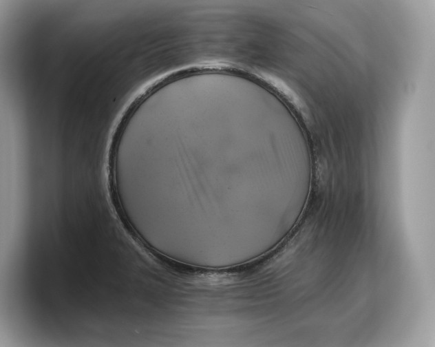 X0000103221327200809181456