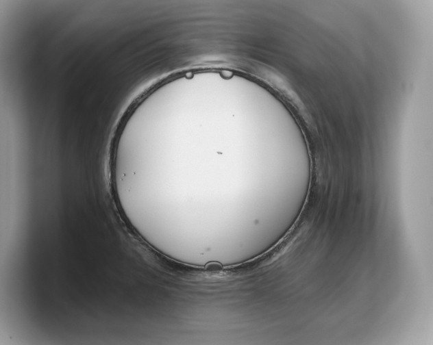 X0000103221328200809181456