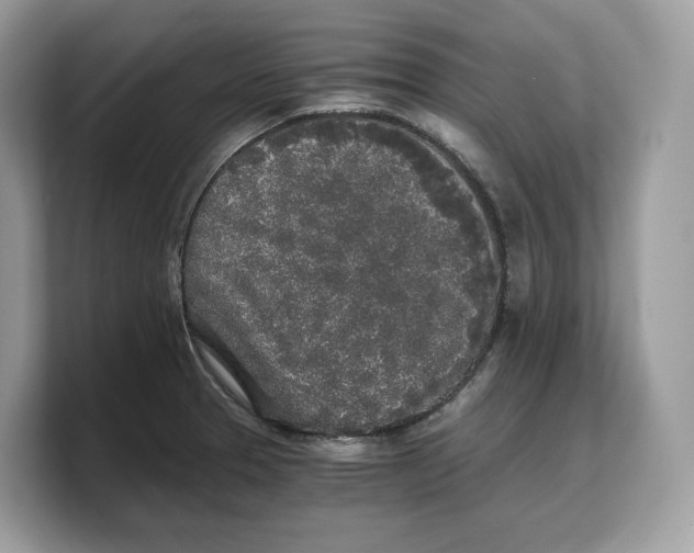 X0000103221329200809181456