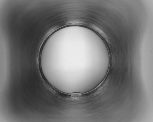 X0000103221330200809181456