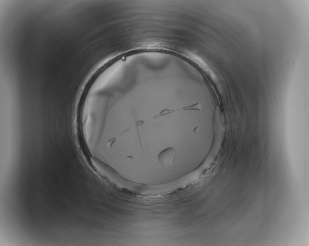 X0000103221331200809181456