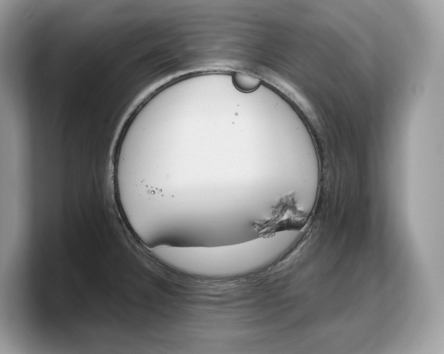 X0000103221332200809181456