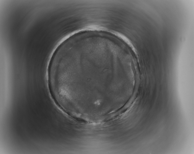 X0000103221335200809181456