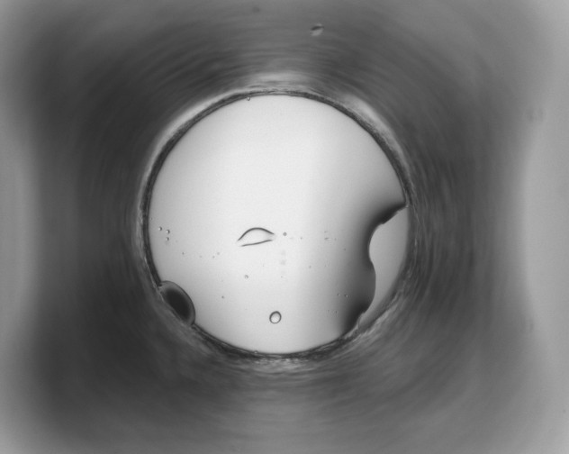 X0000103221336200809181456