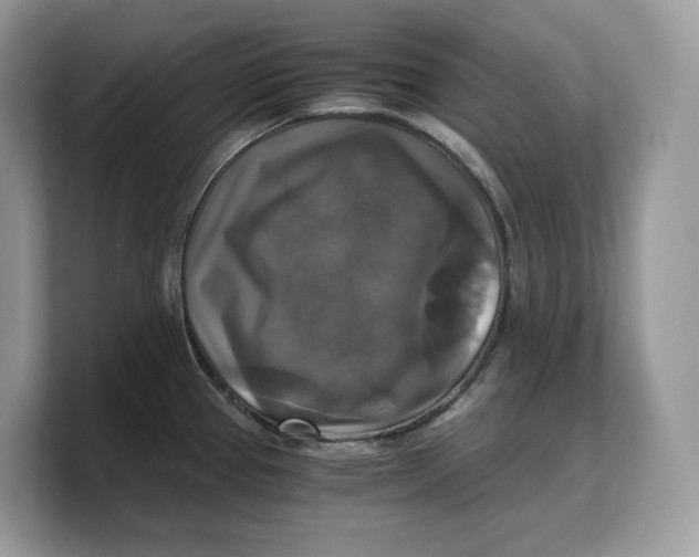 X0000103221337200809181456