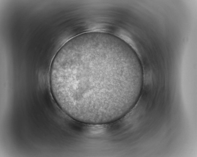 X0000103221338200809181456