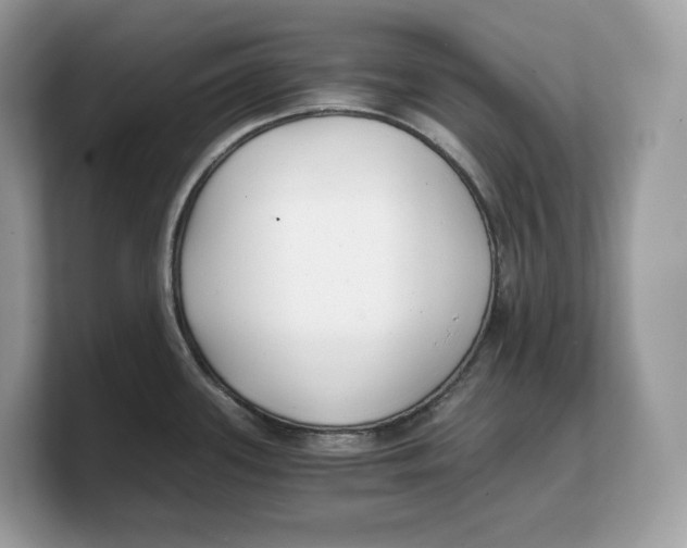 X0000103221339200809181456