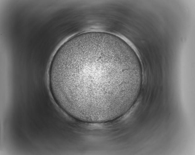 X0000103221341200809181456