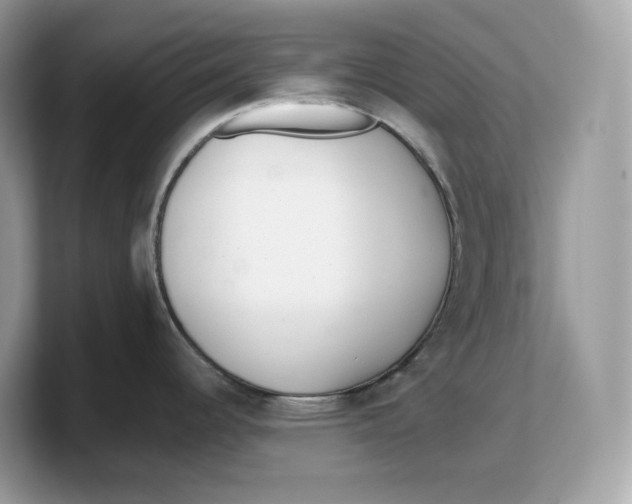 X0000103221344200809181456