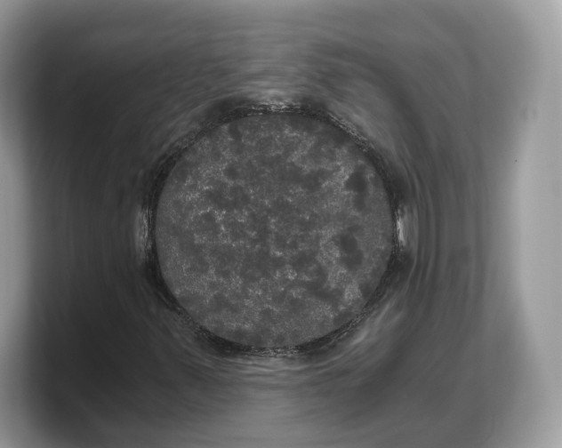 X0000103221347200809181455