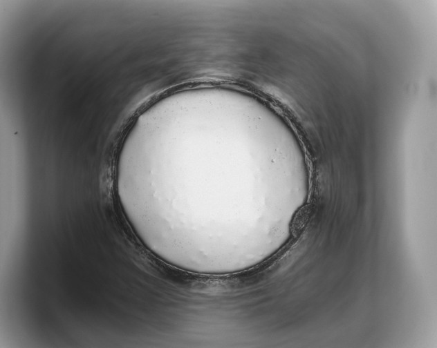 X0000103221355200809181455