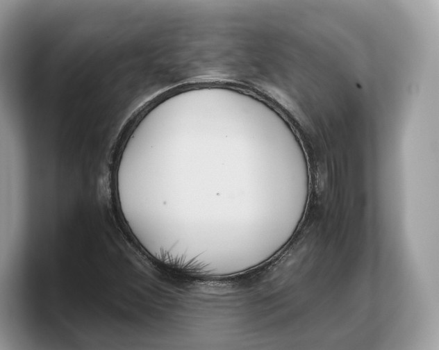 X0000103221356200809181455